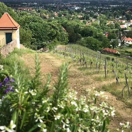 Wohlfuehl-apartment Am Paradiesberg Lejlighed *